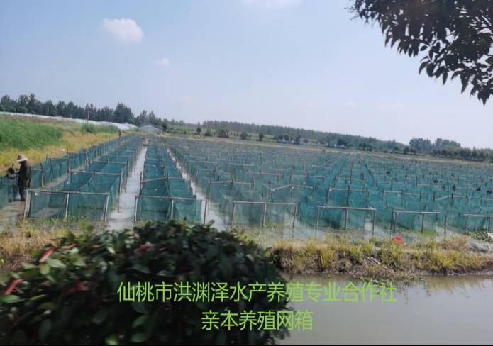 J9游戏·【中国】官方网站